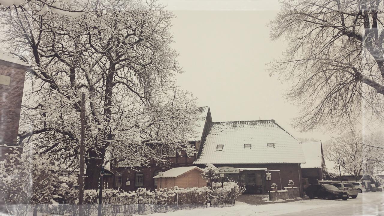 Zum Landhaus Dannenbuettel Sassenburg Exterior photo
